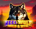 Reel Wolf